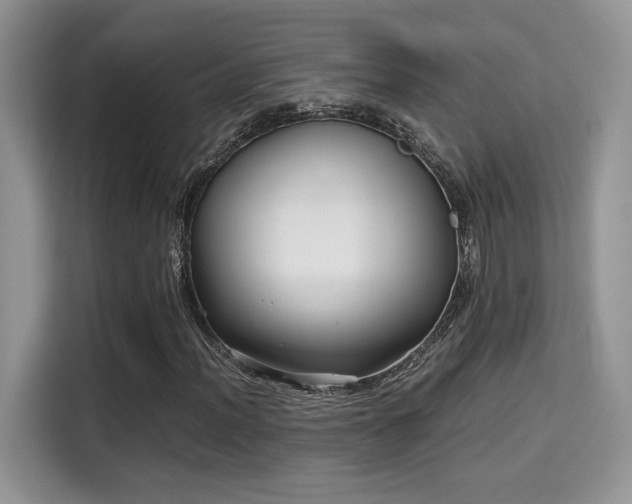 X0000115341012200911091301