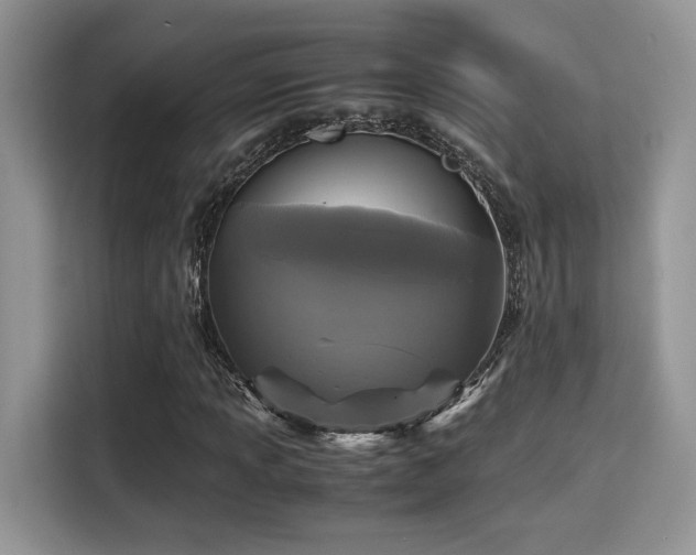 X0000115341013200911091301