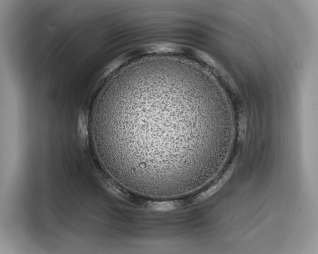 X0000115341017200911091301