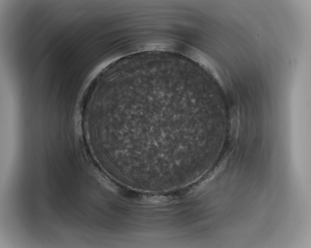 X0000115341019200911091301