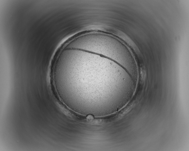 X0000115341020200911091301