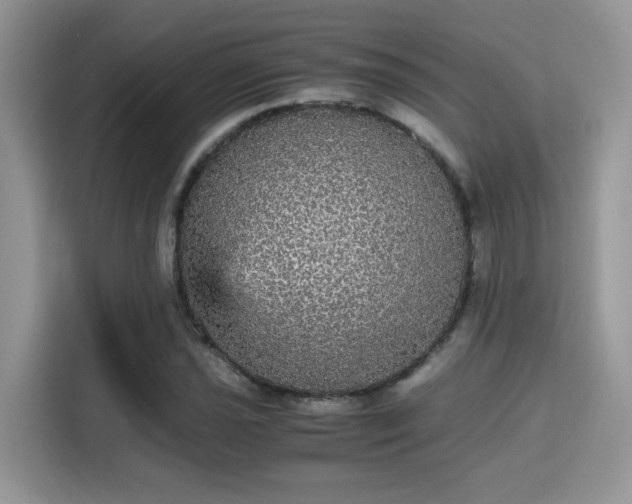 X0000115341021200911091301