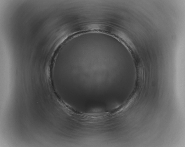 X0000115341023200911091301