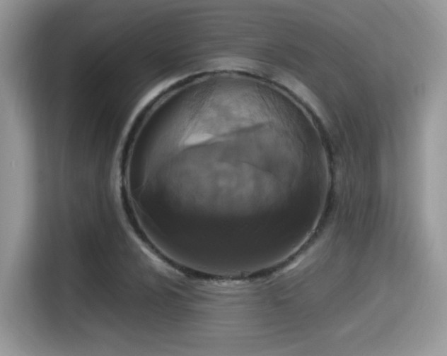 X0000115341024200911091301