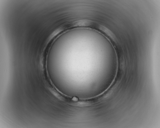 X0000115341026200911091301