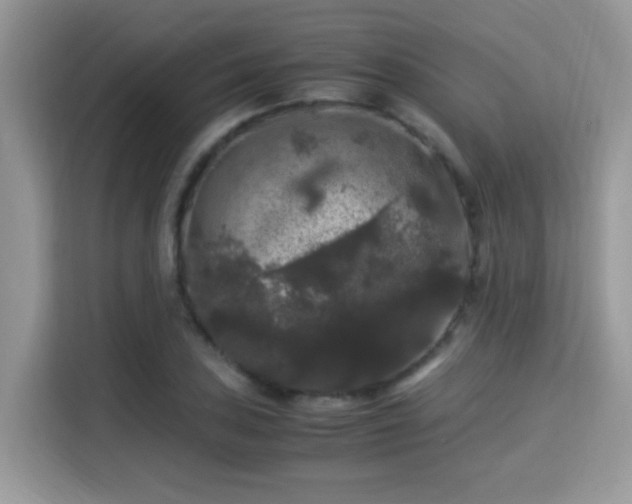 X0000115341027200911091301