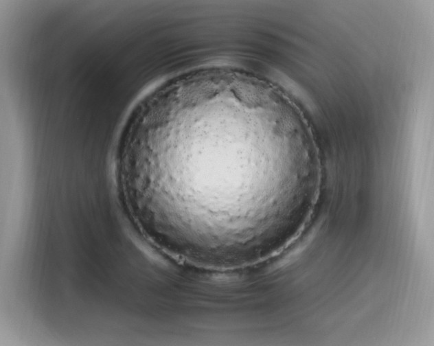 X0000115341029200911091301