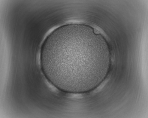 X0000115341030200911091301