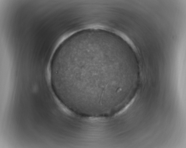 X0000115341032200911091301