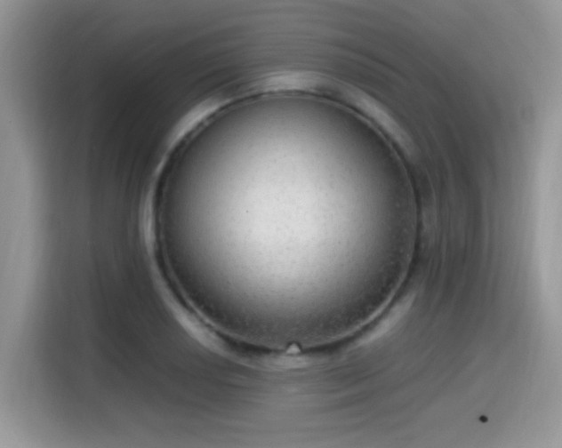 X0000115341034200911091301