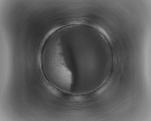 X0000115341035200911091301