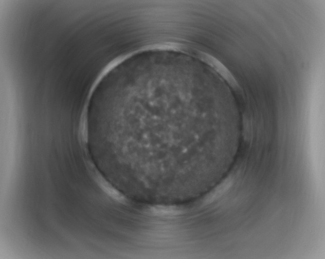 X0000115341036200911091301