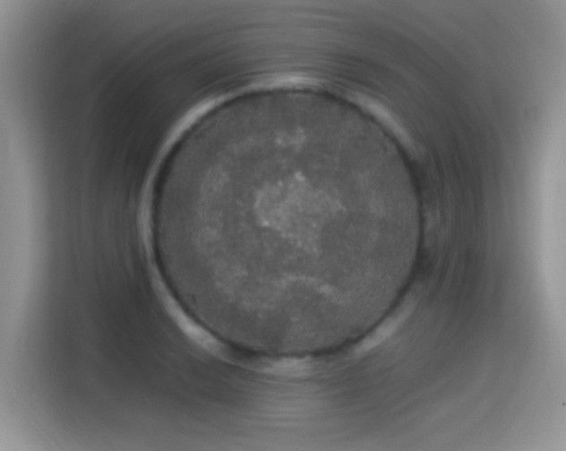 X0000115341038200911091301