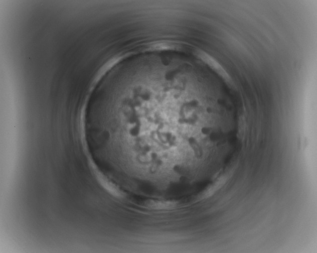 X0000115341039200911091301