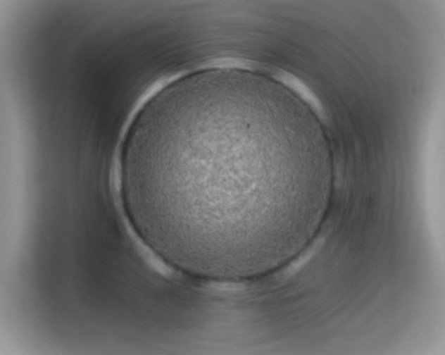 X0000115341040200911091301