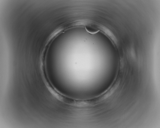 X0000115341042200911091301