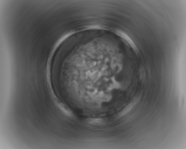 X0000115341043200911091301