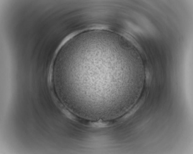 X0000115341044200911091301