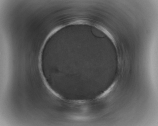 X0000115341045200911091301