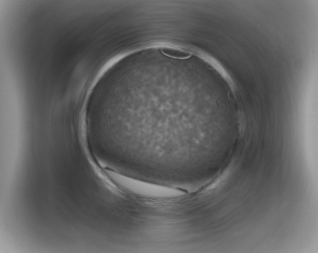X0000115341048200911091301