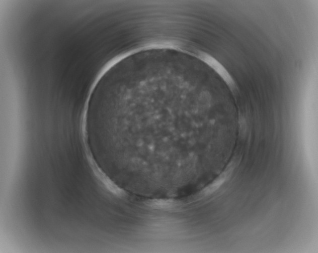 X0000115341052200911091301