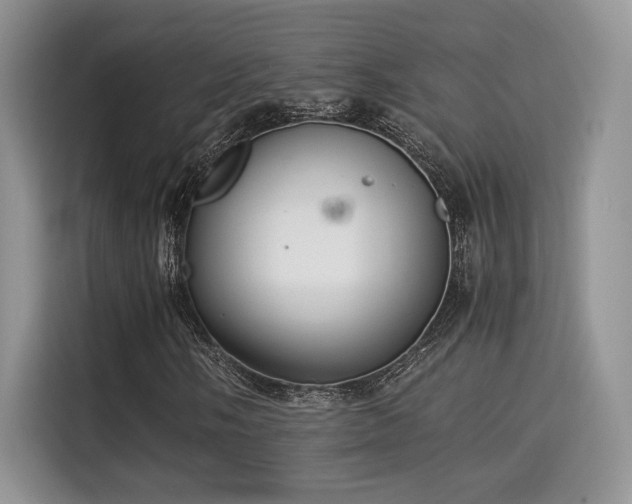X0000115341058200911091301