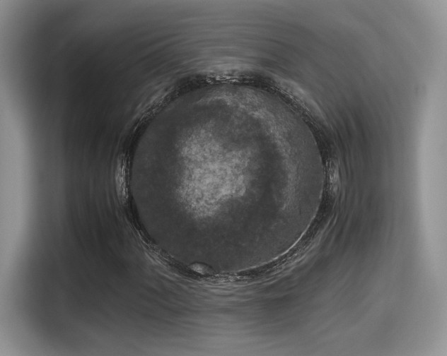 X0000115341060200911091300