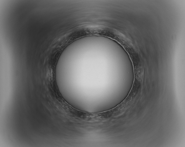 X0000115341061200911091300