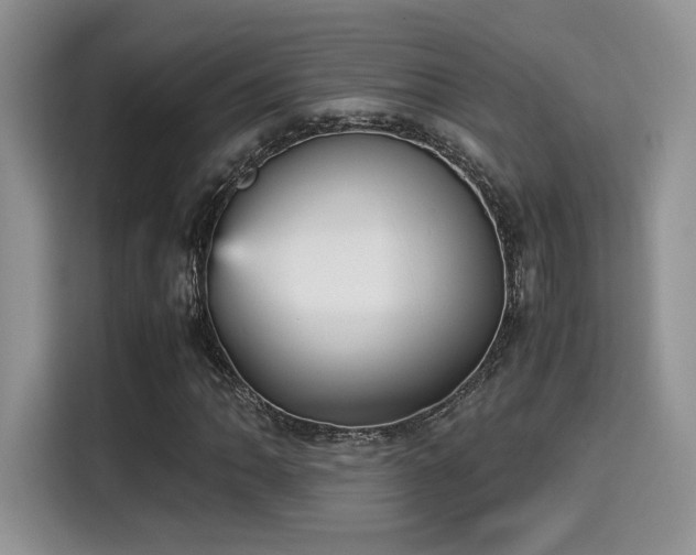 X0000115341062200911091300