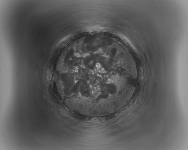 X0000115341063200911091300