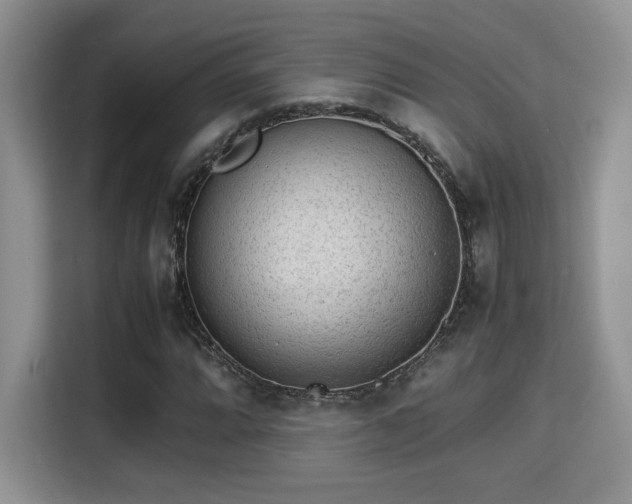 X0000115341064200911091300