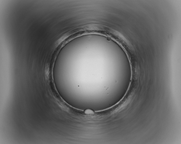 X0000115341065200911091300