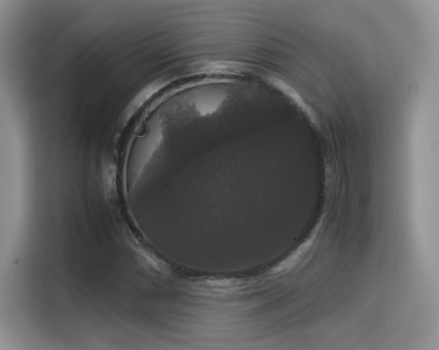 X0000115341066200911091300