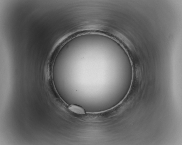 X0000115341069200911091300