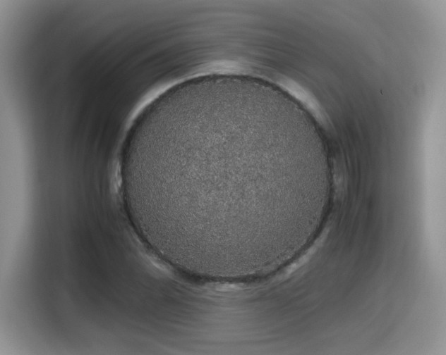 X0000115341070200911091300