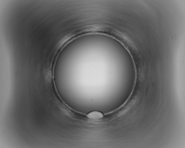 X0000115341073200911091300