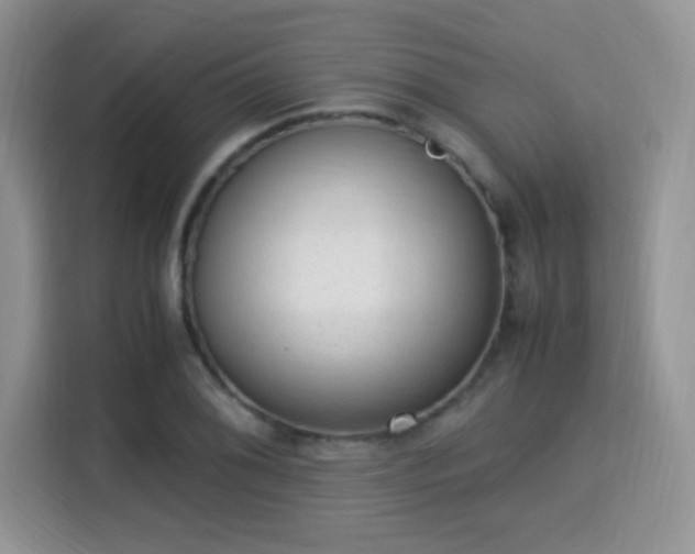 X0000115341076200911091300
