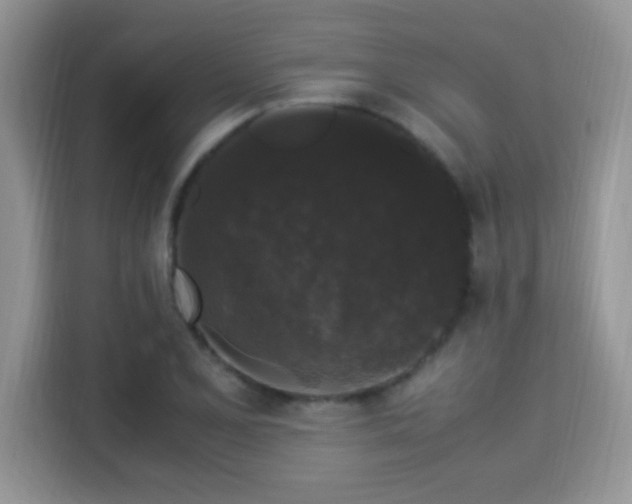 X0000115341077200911091300