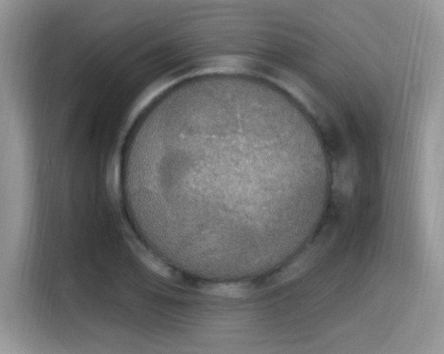 X0000115341078200911091300
