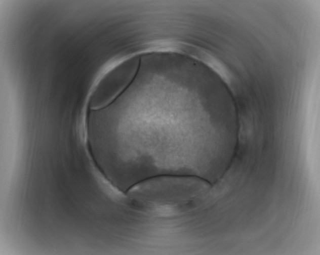 X0000115341080200911091300