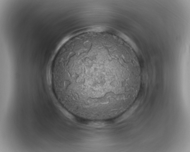 X0000115341083200911091300
