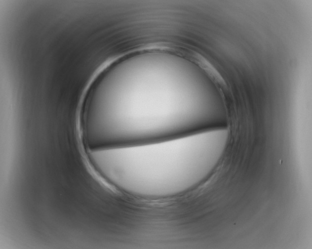 X0000115341084200911091300