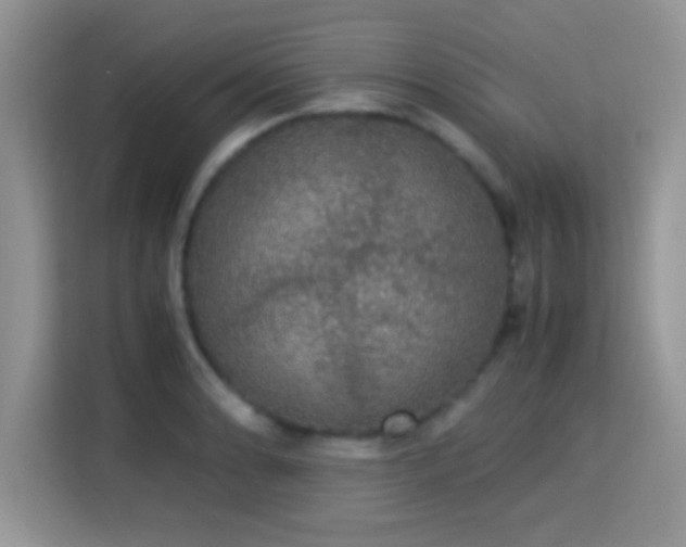 X0000115341086200911091300