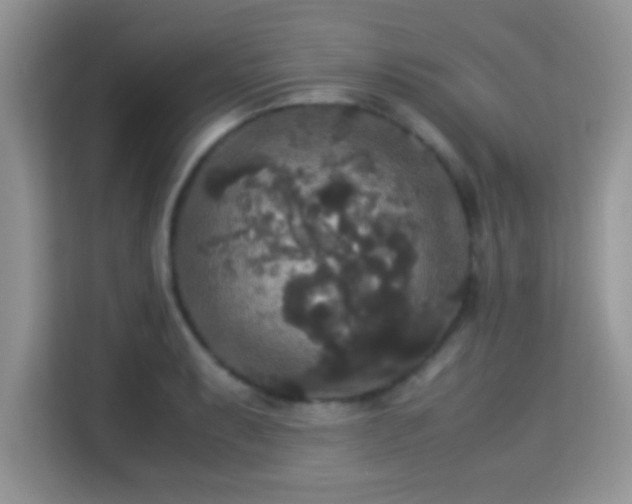 X0000115341087200911091300