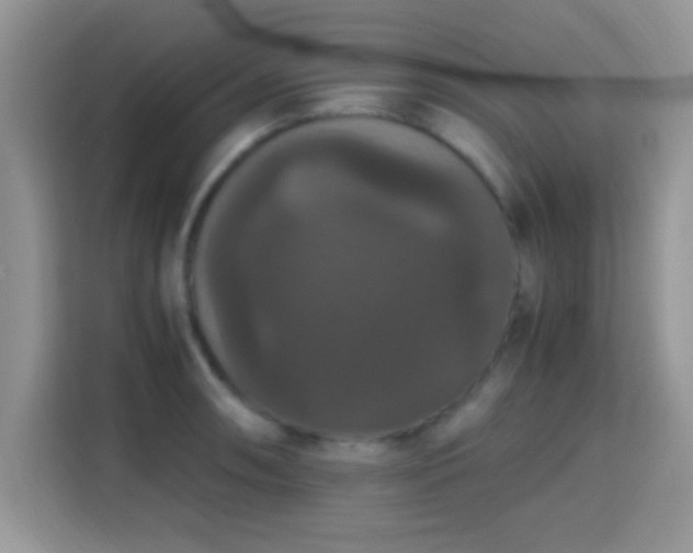 X0000115341090200911091300