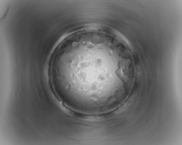 X0000115341091200911091300