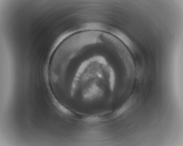 X0000115341094200911091300