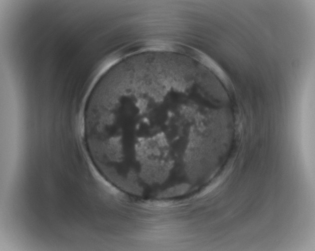 X0000115341095200911091300