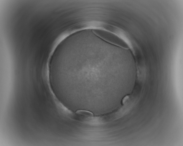 X0000115341096200911091300