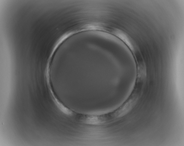 X0000115341098200911091300